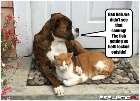 A New Challenger Appears