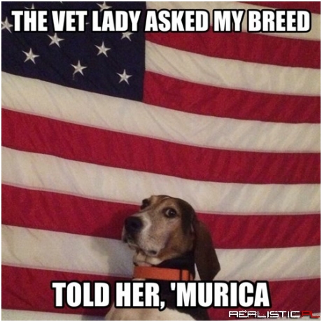 Born and Bred