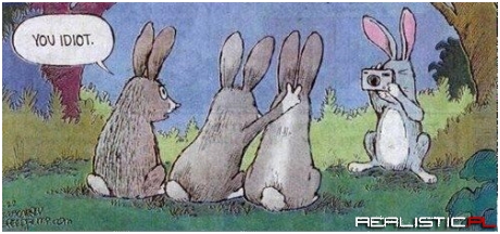 Bunnies Aren't That Smart