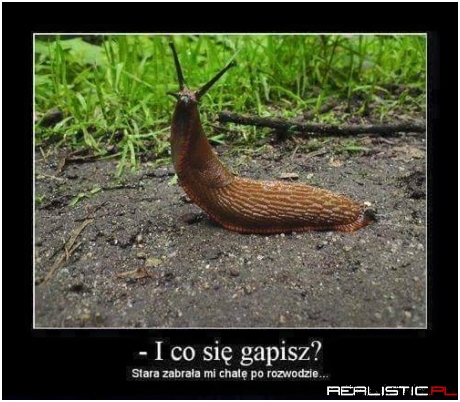 Co się gapisz!