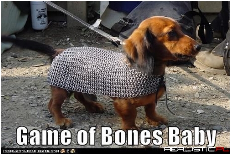 Dire Dachshund Refuses to Be Killed Off This Season