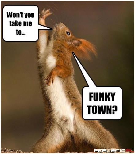 Disco In-FUR-No!