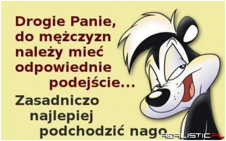 Drogie Panie