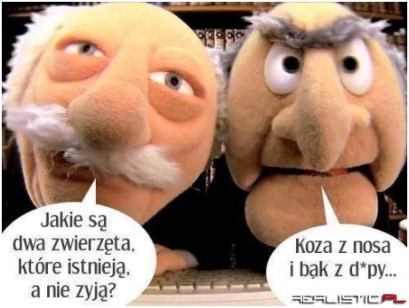 Dwa zwierzęta