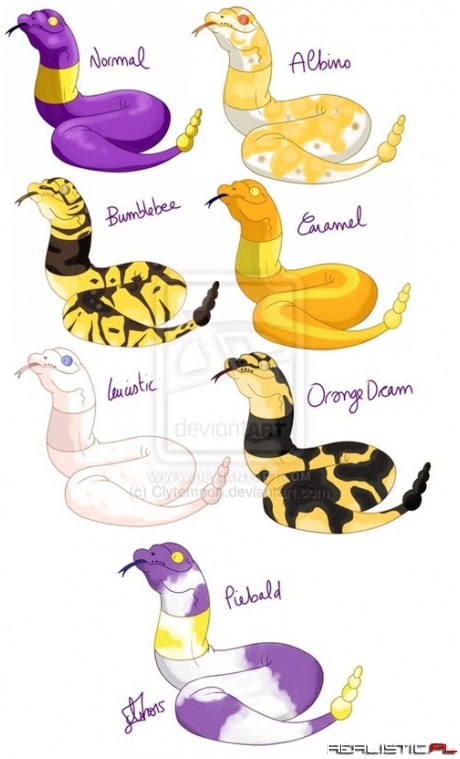 Ekans Variations