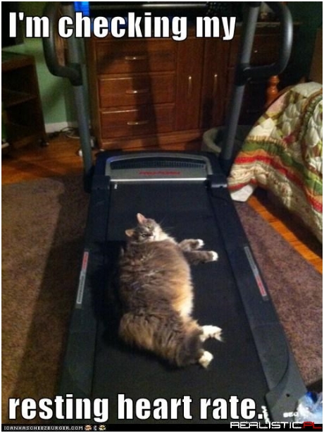 Gotta Start With the Basics, Right