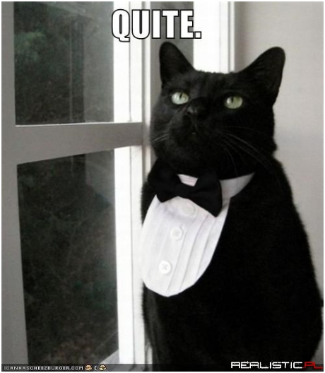 I Can Has Fancy Feast