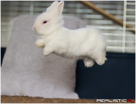 I Must Go, Bunday Needs Me