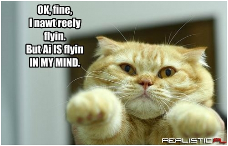 In a World of Pure Imeowgination