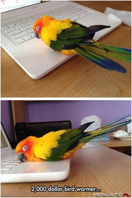 It Connects to the Internet or Something Too...