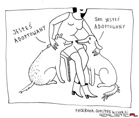 Jesteś adoptowany