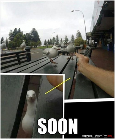 Just Drop the Crumb and Nobody Gets Hurt!