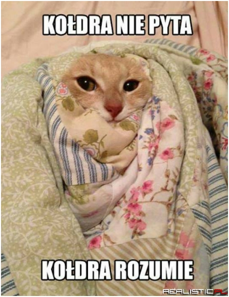 Kołdra nie pyta