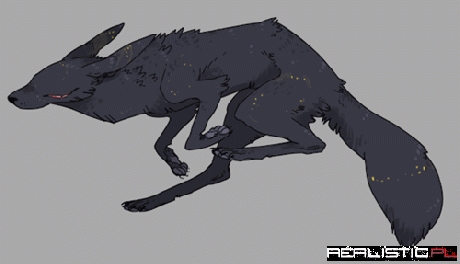 Lunar Cycle Umbreon