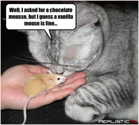 Mousse, Mouse, Whatevs
