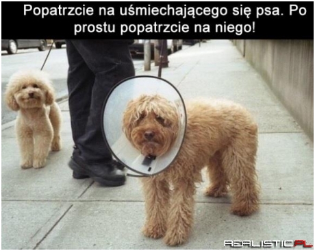 No nie wierzę ;)