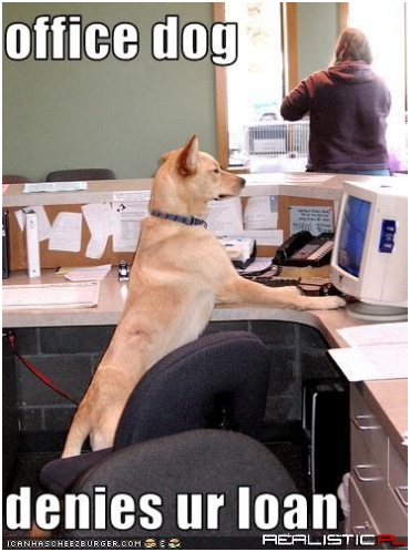 office dog denies ur loan