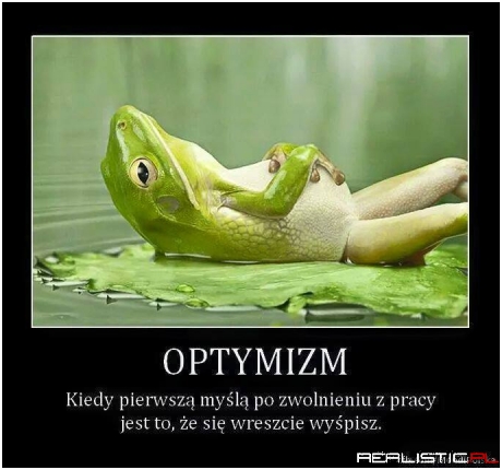 Optymizm