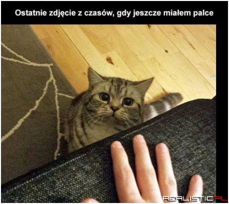 Ostatnie zdjęcie