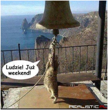 Piątuniooo