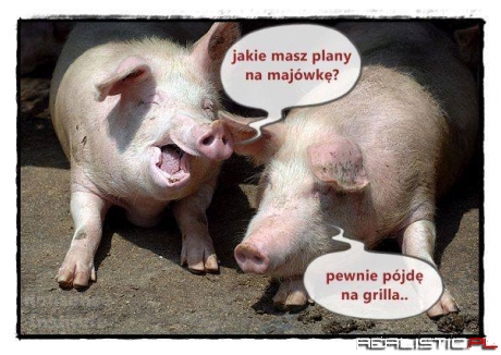 Plany na majowkę ;)