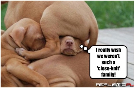 Randy Hated Being the Middle Child