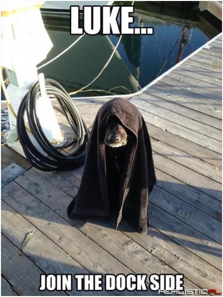 The Gale Force is Strong with This One