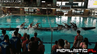 The Political Process in the US