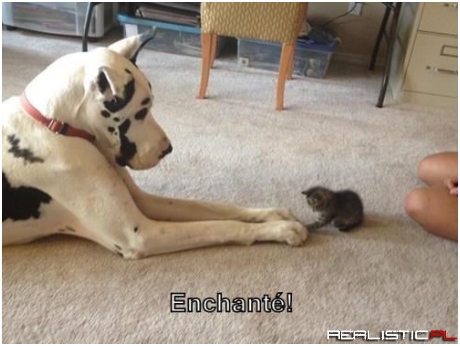 The Start of a Beautiful Frenemyship