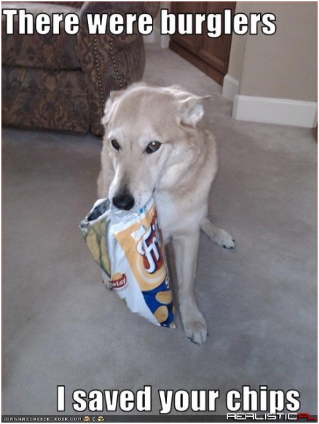 There were burglers I saved your chips