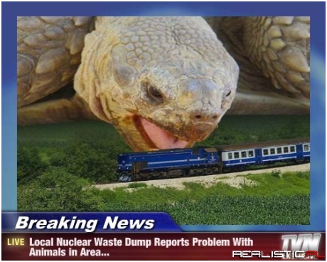 There Were No Survivors