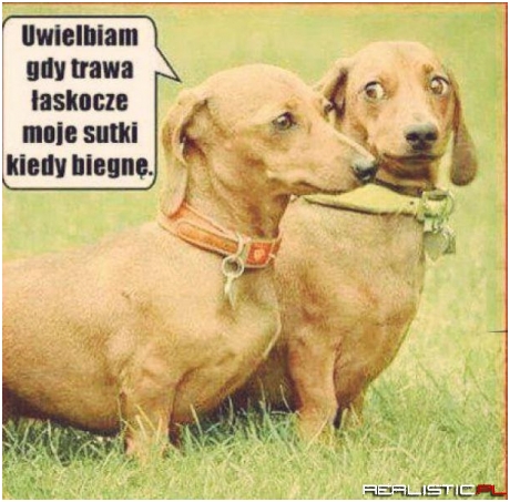 Uwielbiam...