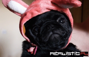 When You Gaze Into the Abyss...