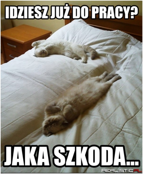 Jaka szkoda...