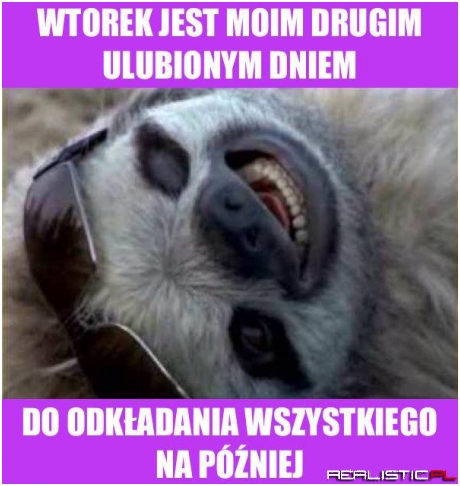 Wtorek :D