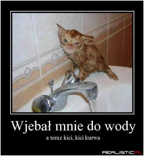 Wygląda jak gremlin ;)