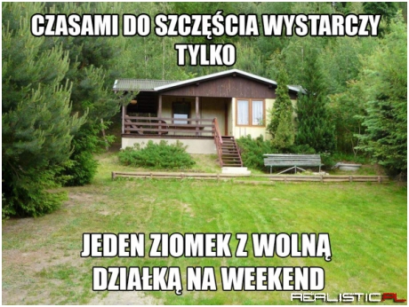 Czasami do szczęścia...
