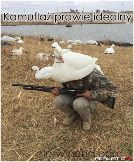 Kamuflaż prawie idealny ;)