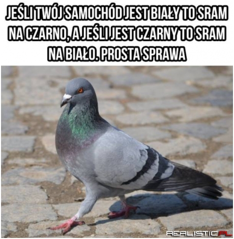 Prosta sprawa