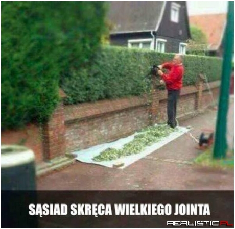 Dobry sąsiad :D