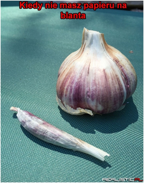 Trzeba sobie radzić