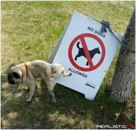 Tyle mnie obchodzą wasze zasady