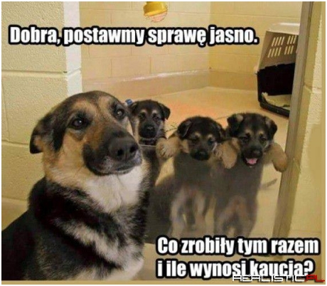 Ile wynosi kaucja ;)