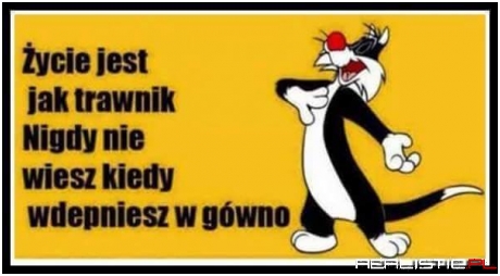 Życie jest jak trawnik...