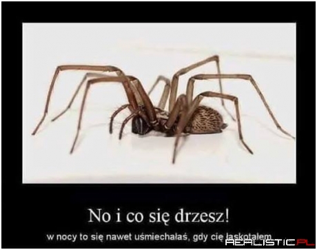 No i co się drzesz ;)