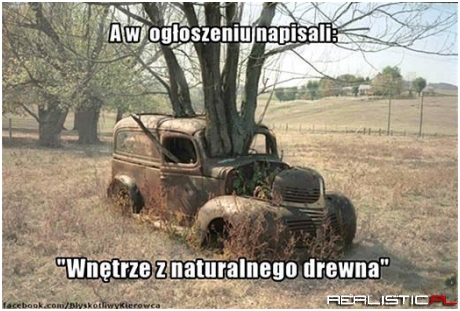 No i prawdę napisali