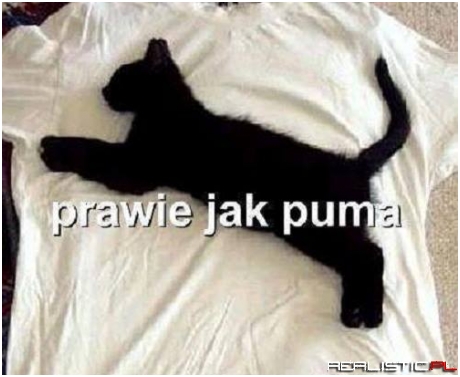 Prawie jak puma ;)
