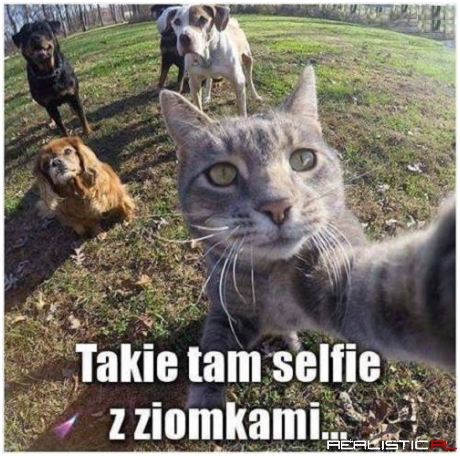 Selfie z ziomkami