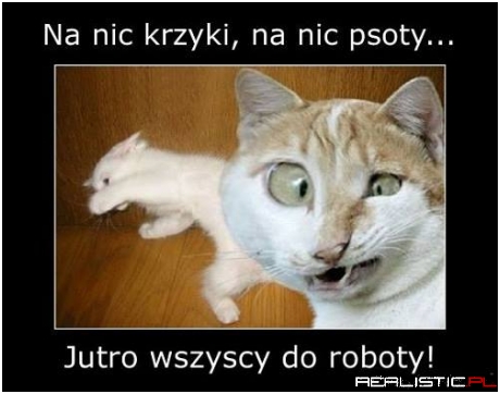 Niestety...