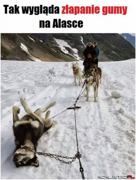 Złapanie gumy ;)